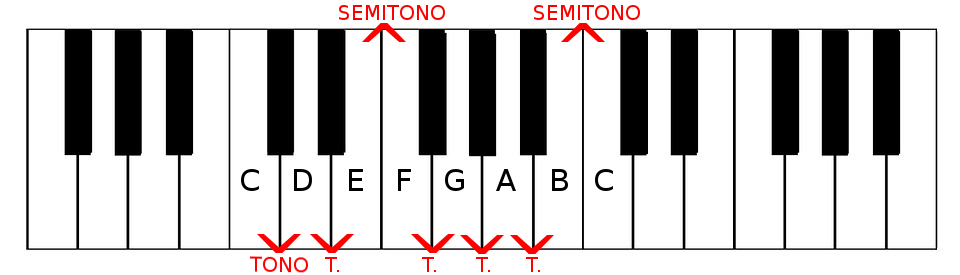 Scale Major tone and semitone